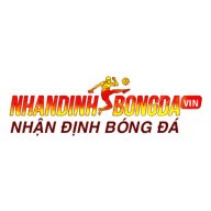 nhandinhbongdavin