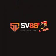 81sv88