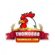 thomo688com