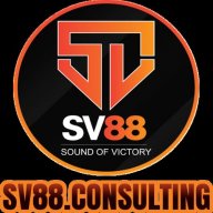 sv88consulting