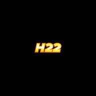 h22co