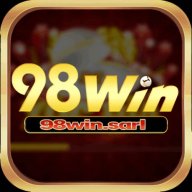 98WINsarlvn