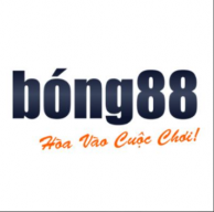 bong88outletbirkenstock