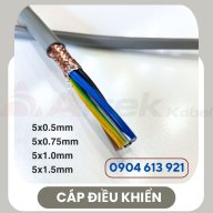 daycaptinhieu