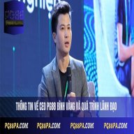 ceopg88binhvang