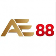 ae88vkzinnet