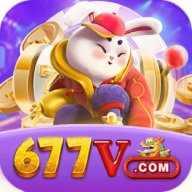 677vviporg