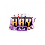 haywin1art
