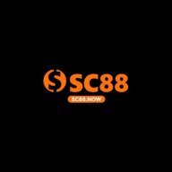 Sc88nowvn