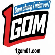 1gom1site