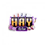 haywin1stream