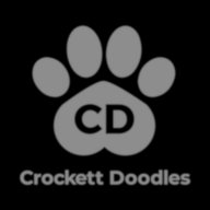 crockettdoodles