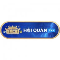 hoiquantvhdcom