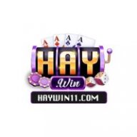 haywin11com
