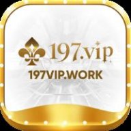 197vipwork