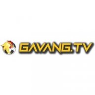gavangtvllc