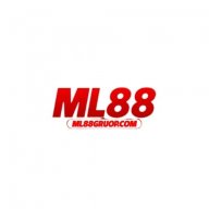 ml88groupcom