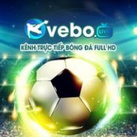 vebozqqcc