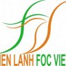 dienlanhfocviet