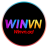 winvnad