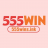 555winsink